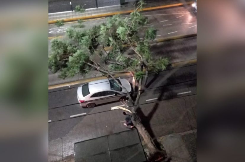 temporal