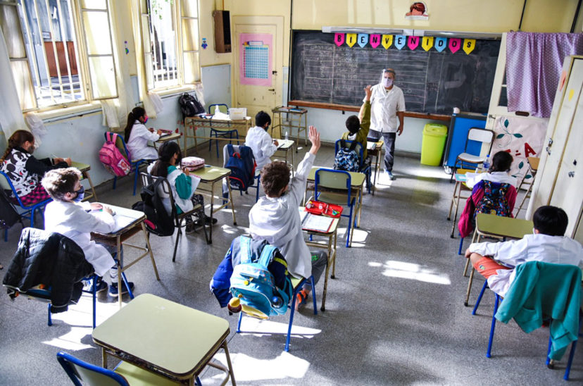 docentes