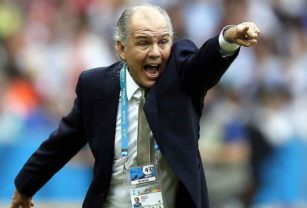 Sabella