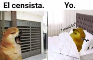Censo 2022