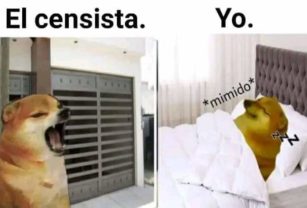 Censo 2022