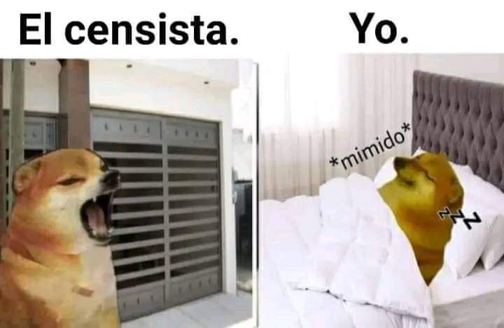 Censo 2022