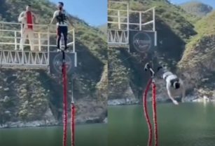 Bungee jumping