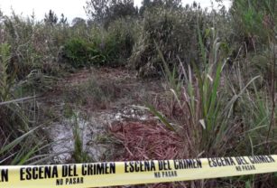 Apareció muerto en el pantano