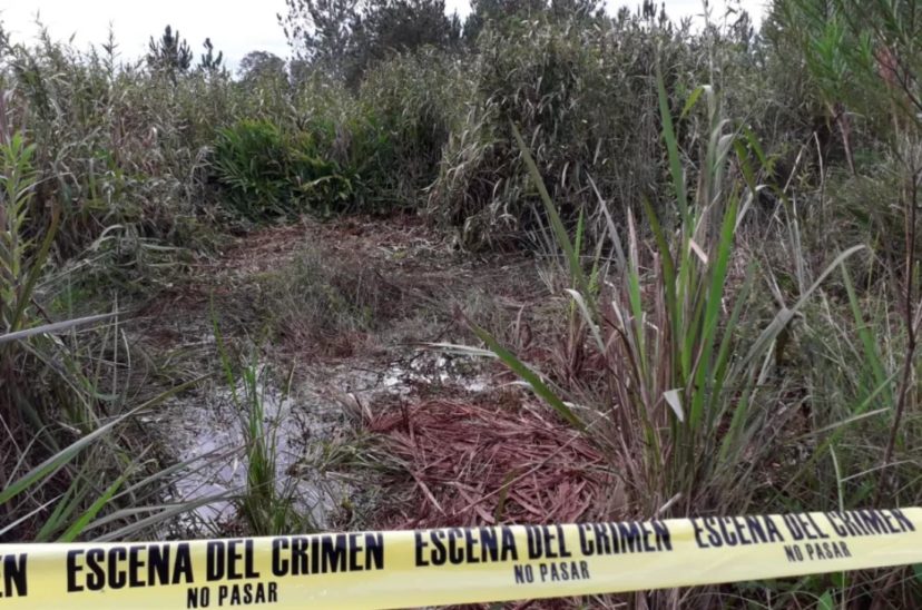 Apareció muerto en el pantano