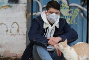 gato coronavirus