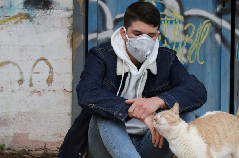 gato coronavirus