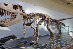 Museos