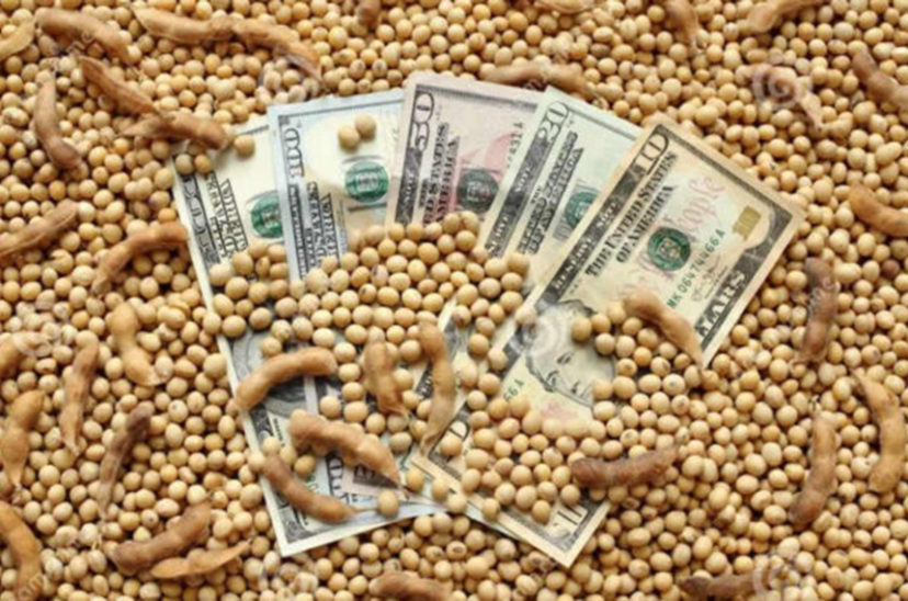 Dólar soja colectora