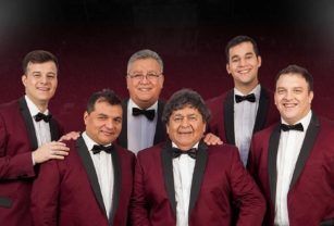 los palmeras