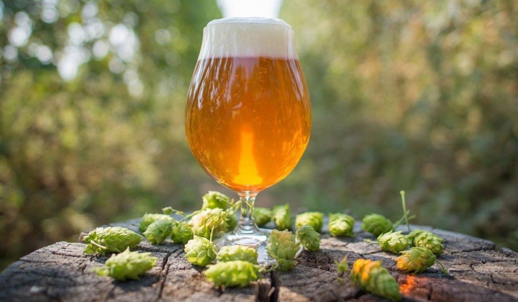 IPA Day