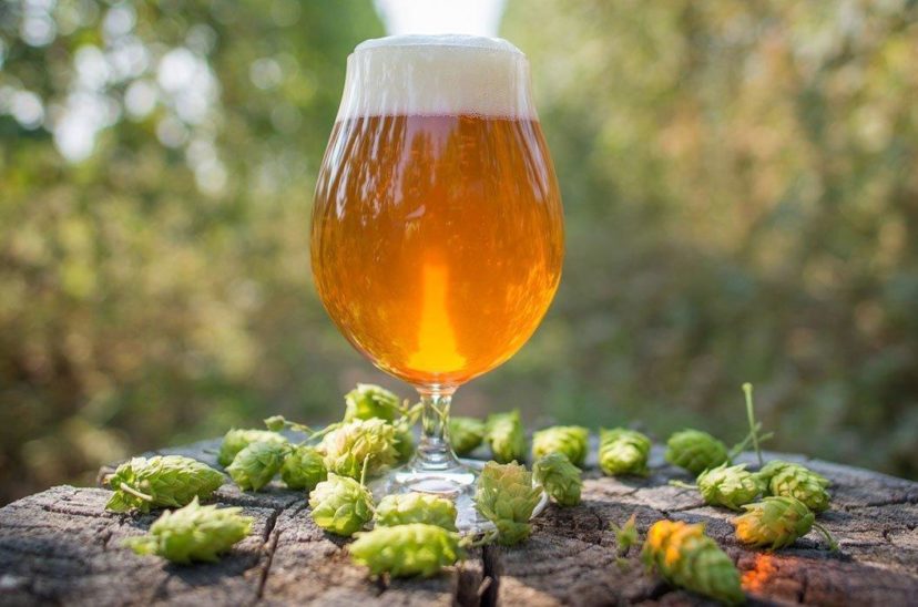 IPA Day