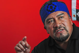 mapuche hector llaitul
