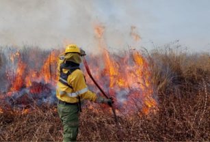 incendios delta