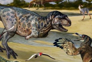 Dinosaurio