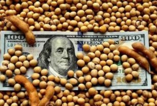 dólar soja dólar soja colectora