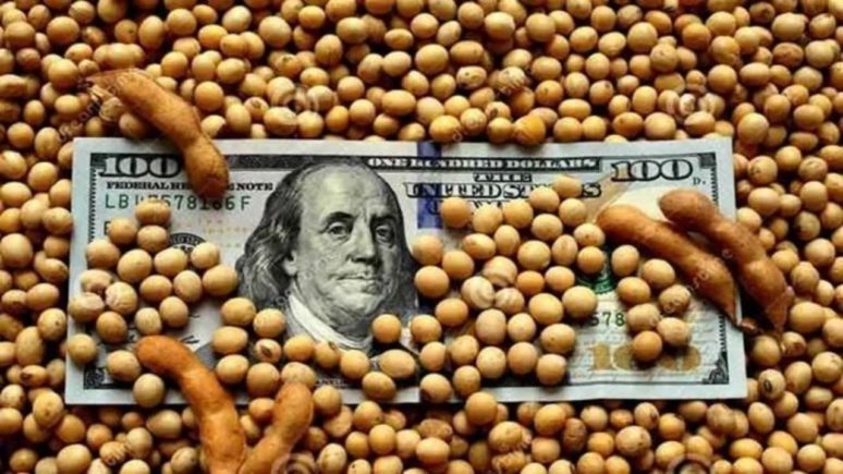 dólar soja dólar soja colectora