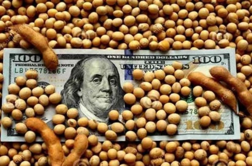 dólar soja dólar soja colectora