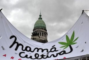 Mamá Cultiva