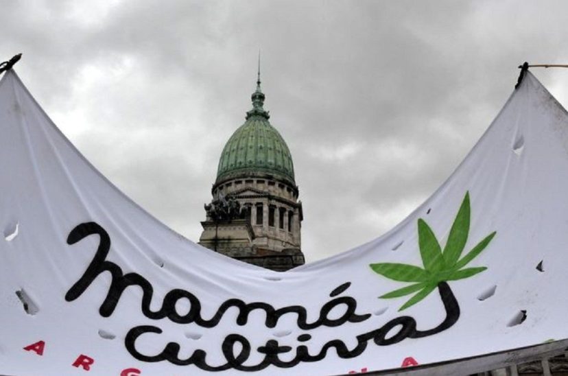 Mamá Cultiva