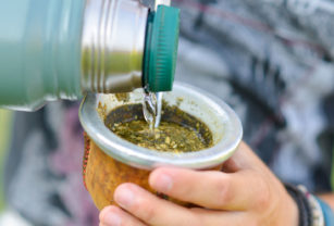 yerba mate