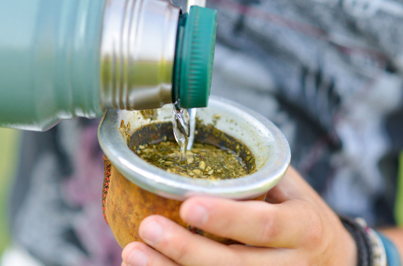 yerba mate
