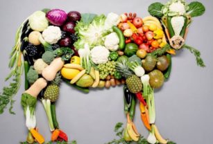 Día Mundial del Veganismo