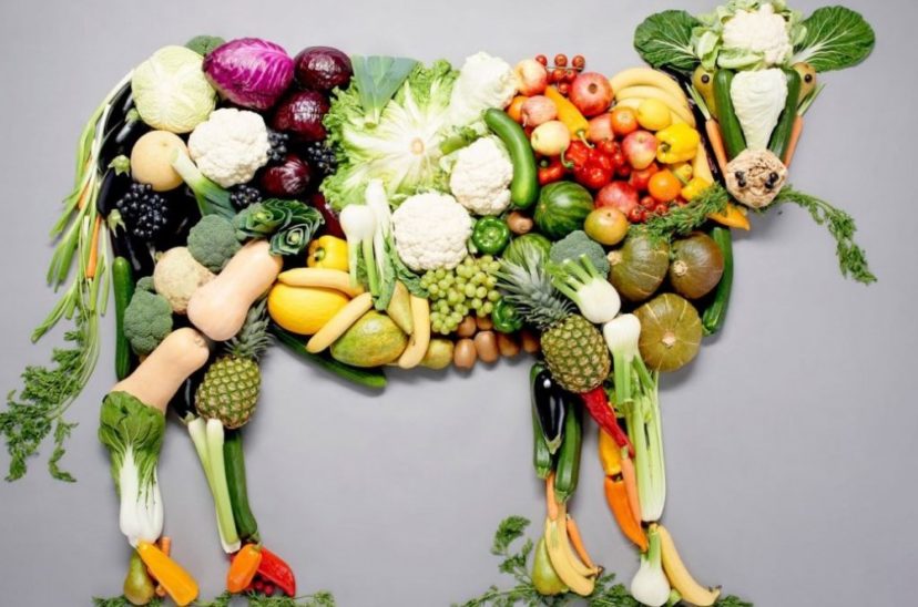 Día Mundial del Veganismo