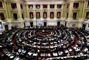 Diputados y senadores