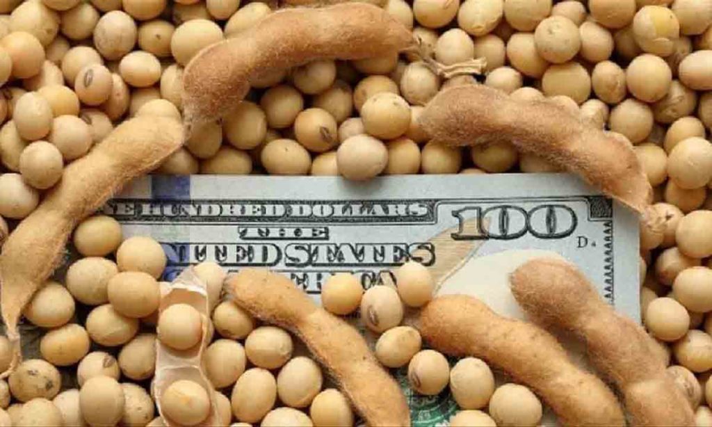 dólar soja