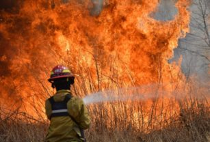 Incendios en Tierra del Fuego