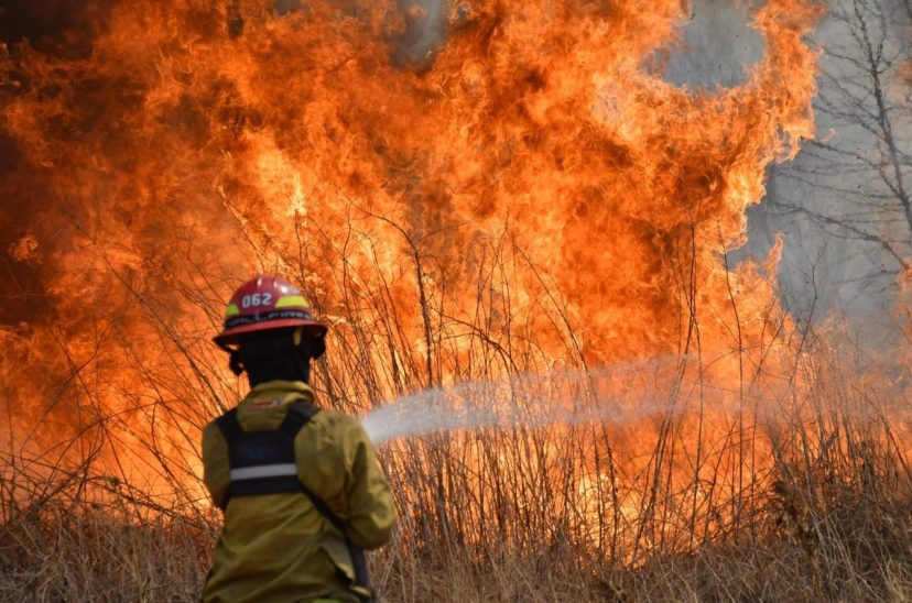 Incendios en Tierra del Fuego