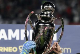 liga profesional