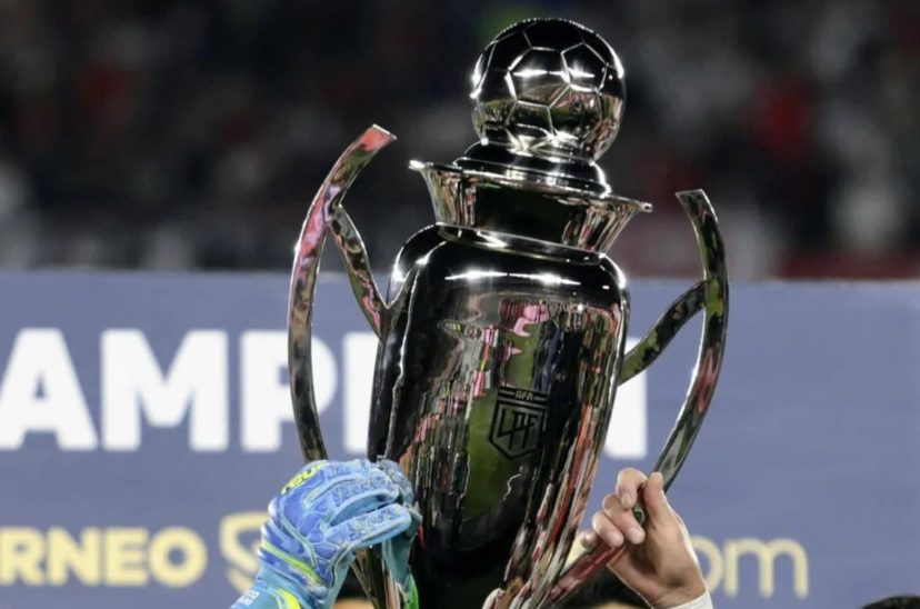 liga profesional