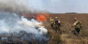 incendios corrientes