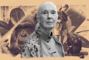 jane goodall ciencia mujeres