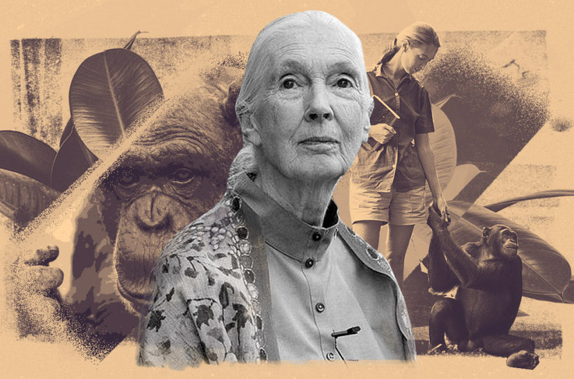jane goodall ciencia mujeres