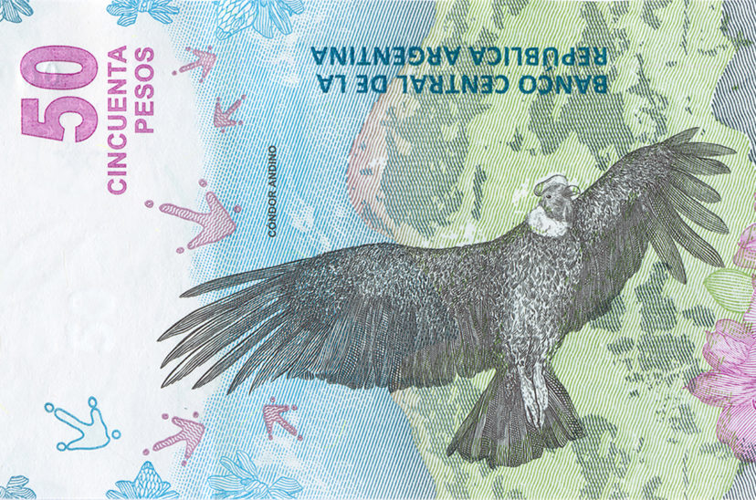 billetes de 50