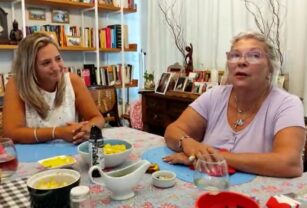 elisa carrió santa fe