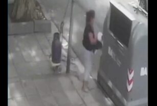 perro basura