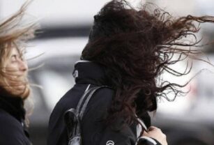Viento