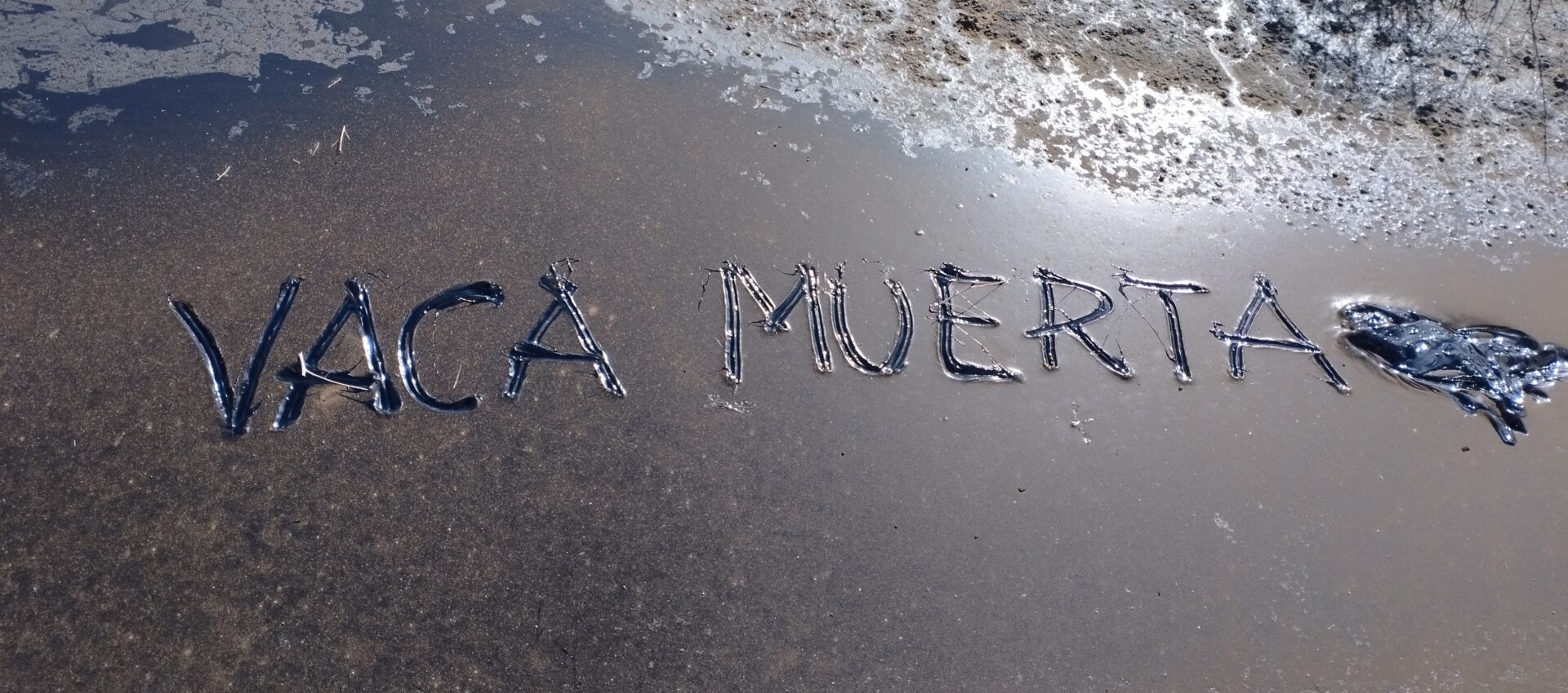 Vaca Muerta