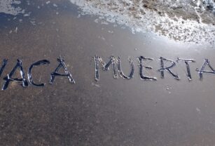 Vaca Muerta