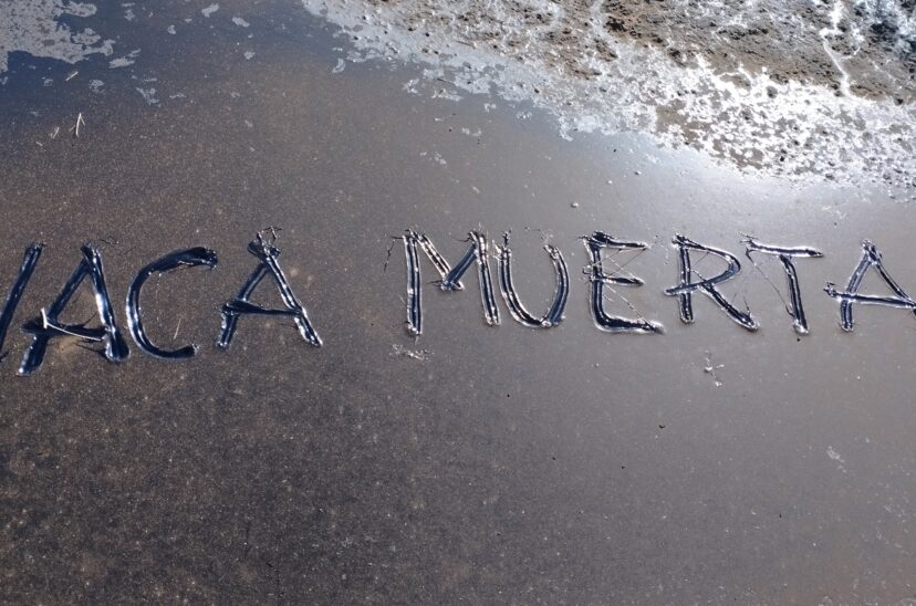 Vaca Muerta