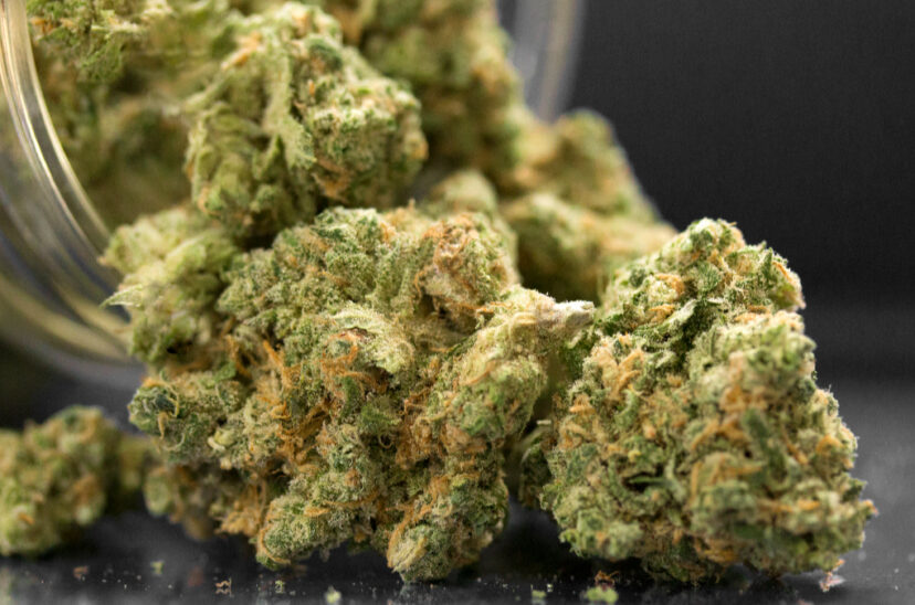 Cannabis