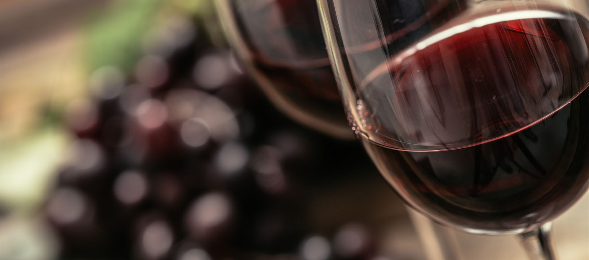Día Mundial del Malbec