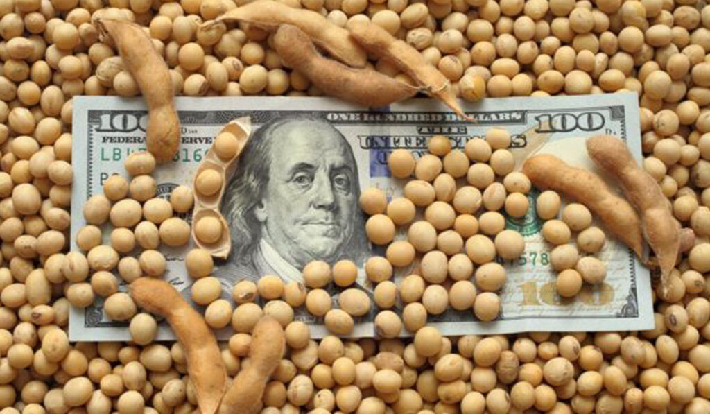 divisas soja retenciones agro