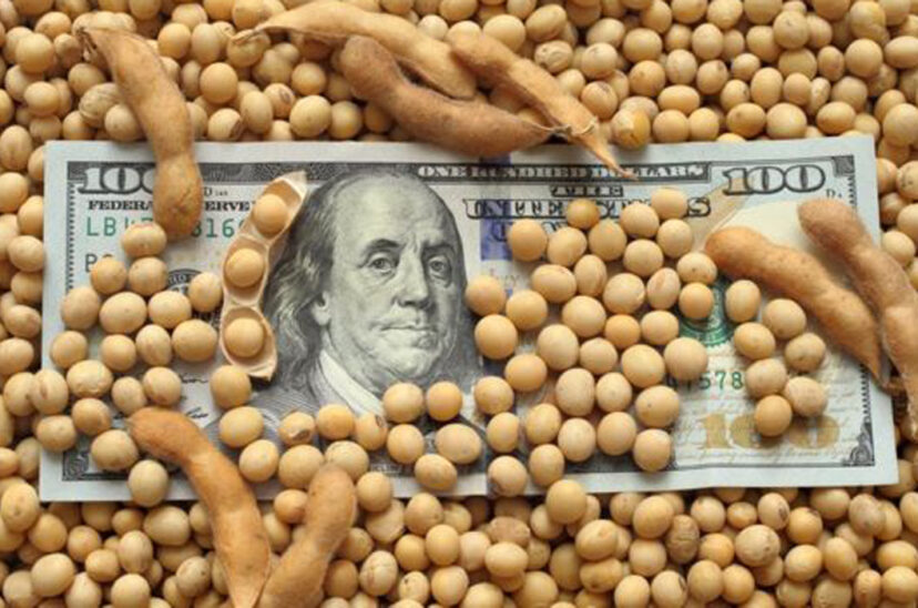 divisas soja retenciones agro