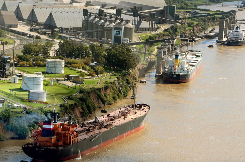 exportación de granos