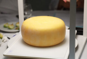 Queso